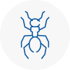 Ant Removals In Berwick On Tweed