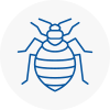 Bed Bug Extermination In Berwick On Tweed