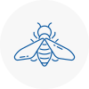 Bee Nest Removal Berwick On Tweed