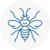 Berwick On Tweed Hornet Nest Removals