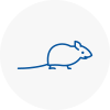 Mice Exterminators In Berwick On Tweed
