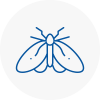 Moth Control Specialists In Berwick On Tweed