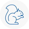 Berwick On Tweed Rodent Removals